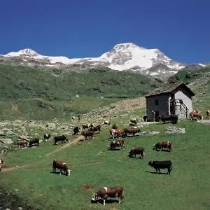 Apartamento Maison Du Bourg